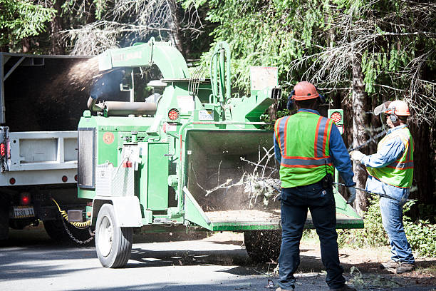 Monticello, IN Tree Services Company